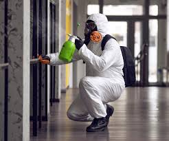 Why You Should Choose Our Mold Remediation Services in Albion, NY